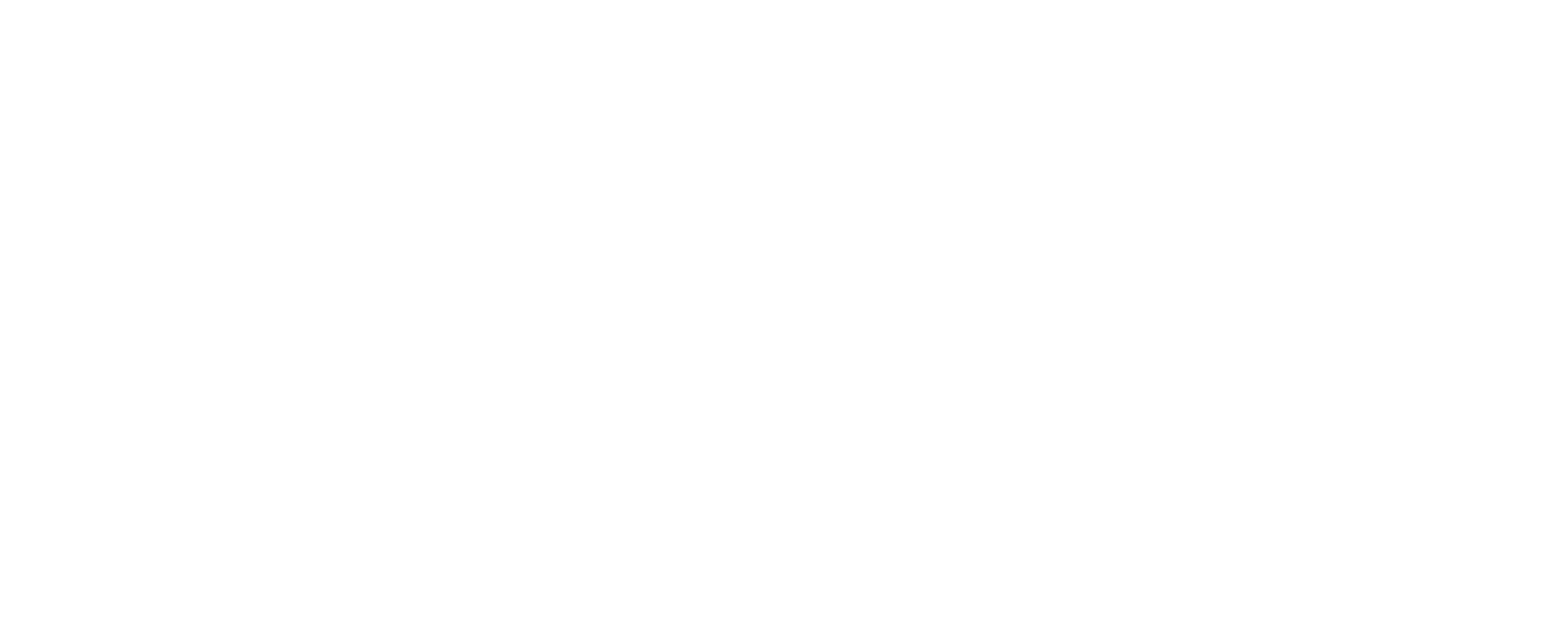 Aya Youth Alliance